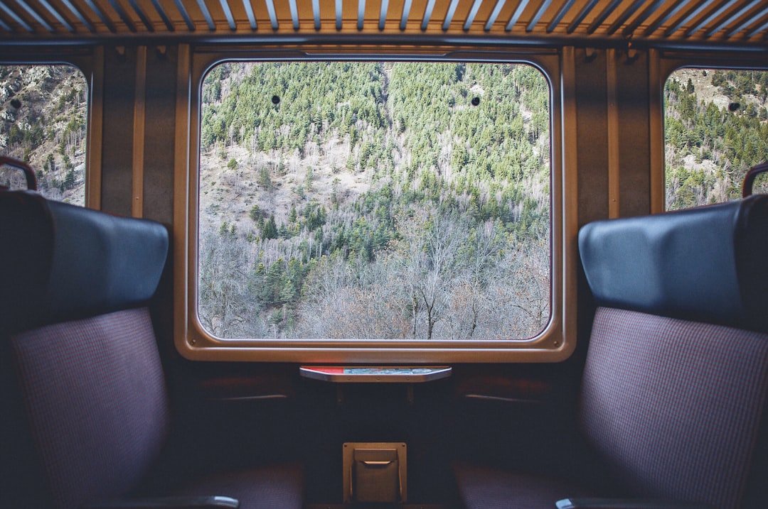 Passenger with a small accessible bag during a train journey